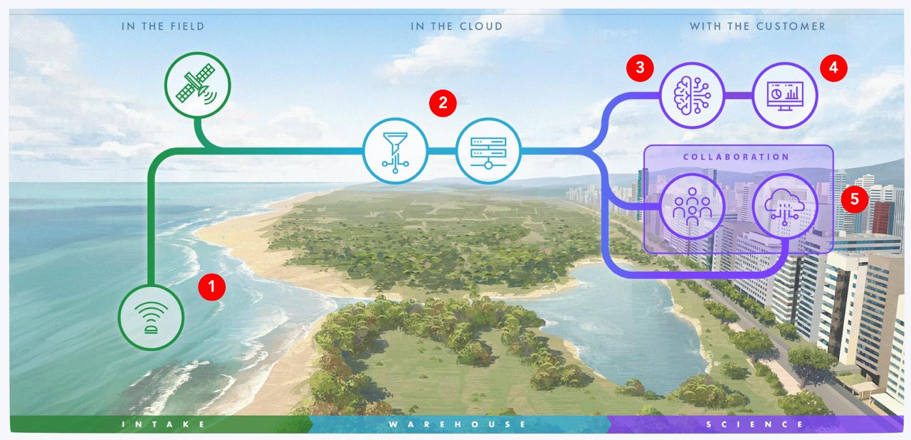 PelAcoustics AI — from field sensor to cloud to customer