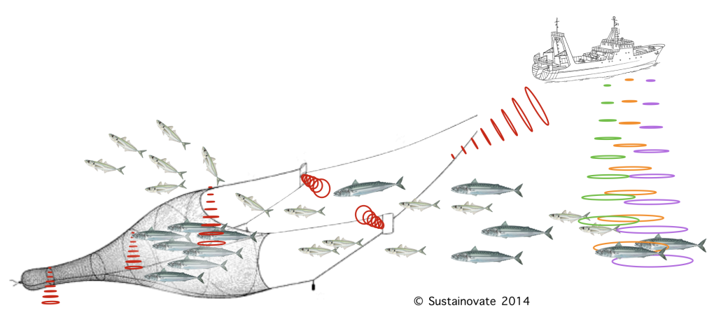 Fish smarter with smart buoys that enable gear tracking and management